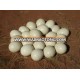 Fertile Ostrich Eggs and Chicks for Sale