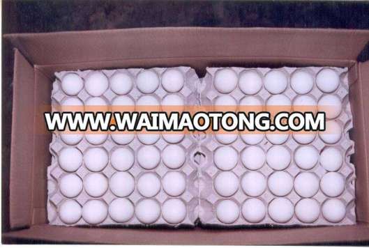 FRESH CHICKEN EGGS WHITE / BROWN FOR SALE